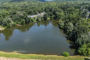 4109 Lakeview Dr, Hillsboro, MO 63050 - Photo 28