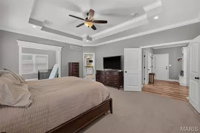 155 Pomodora Circle, Wentzville, MO 63385 - Photo 22