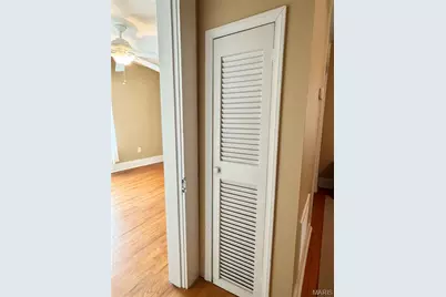 906 Georgia Street, Louisiana, MO 63353 - Photo 36