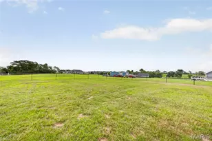 10 Andrew Ct, Silex, MO 63377 - Photo 50