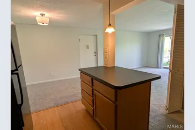 1438 Willow Brook Cove #1, Saint Louis, MO 63146 - Photo 10