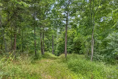 2865 Mammoth Woods Trail, De Soto, MO 63020 - Photo 26