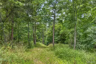 2865 Mammoth Woods Trail, De Soto, MO 63020 - Photo 26