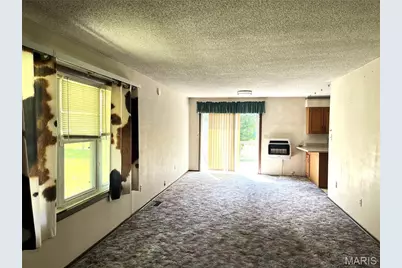 45 Highway 49, Cherryville, MO 65446 - Photo 4