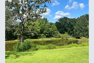 45 Highway 49, Cherryville, MO 65446 - Photo 32