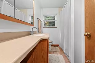 324 Bridlewood Rd, Festus, MO 63028 - Photo 20