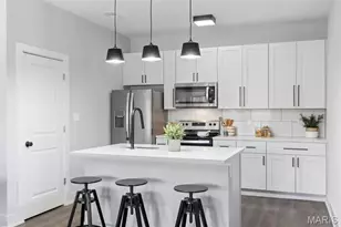 6201 Arsenal St, Saint Louis, MO 63139 - Photo 4