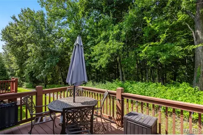 1347 Parkview Estates Drive, Ellisville, MO 63021 - Photo 22