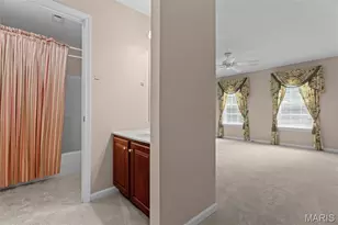 991 Sheffield Forest Ct, Wildwood, MO 63021 - Photo 50