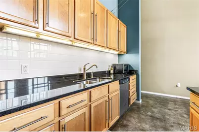 1720 Chouteau Avenue #103, Saint Louis, MO 63103 - Photo 20