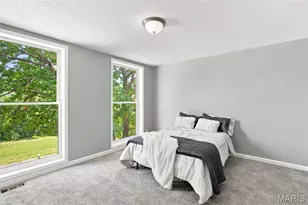 2734 Geyer Ave, Saint Louis, MO 63104 - Photo 42