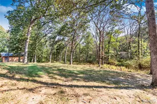 100 Hickory Ln, Festus, MO 63028 - Photo 80