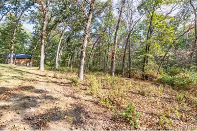 100 Hickory Lane, Festus, MO 63028 - Photo 84