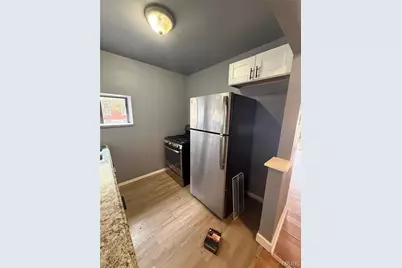 3152 Winnebago Street, Saint Louis, MO 63118 - Photo 20