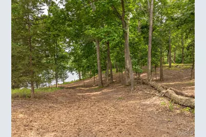 463 Foxfire Crossing Drive, Innsbrook, MO 63390 - Photo 4