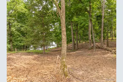 463 Foxfire Crossing Drive, Innsbrook, MO 63390 - Photo 14