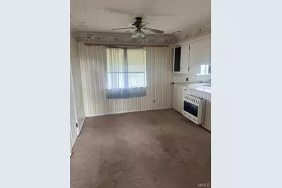 25210 State Highway 25, Holcomb, MO 63852 - Photo 4