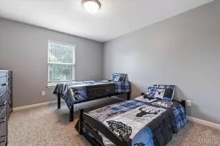 228 Burrograss Dr, Wentzville, MO 63385 - Photo 28