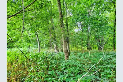 225 Valley View (Lot 29) Drive, Hawk Point, MO 63349 - Photo 6