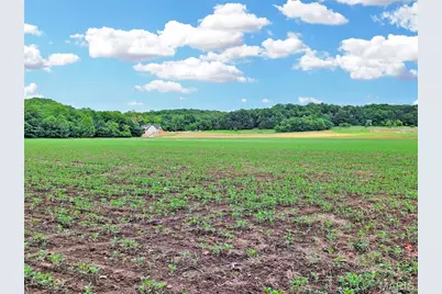 225 Valley View (Lot 29) Drive, Hawk Point, MO 63349 - Photo 2