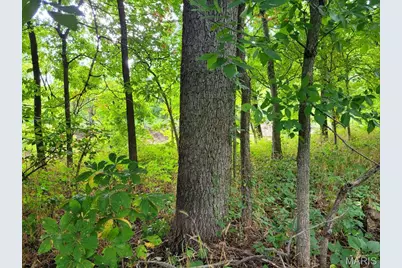 225 Valley View (Lot 29) Drive, Hawk Point, MO 63349 - Photo 18