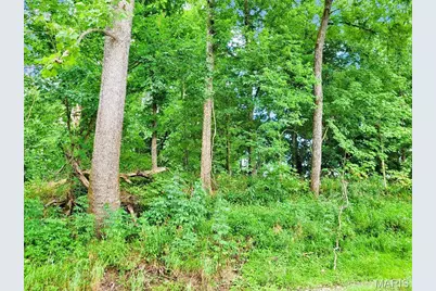 225 Valley View (Lot 29) Drive, Hawk Point, MO 63349 - Photo 12