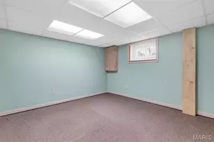 7324 Weil Ave, Saint Louis, MO 63119 - Photo 56