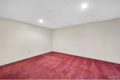 7324 Weil Avenue, Saint Louis, MO 63119 - Photo 52
