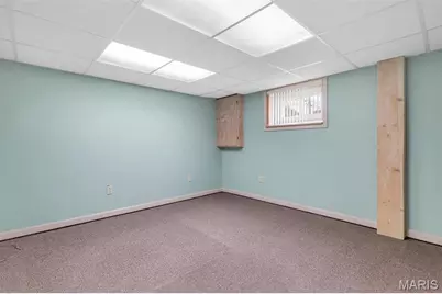 7324 Weil Avenue, Saint Louis, MO 63119 - Photo 54