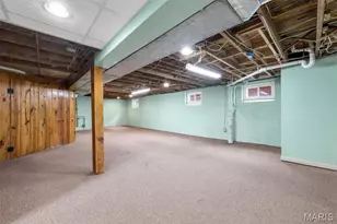 7324 Weil Ave, Saint Louis, MO 63119 - Photo 50
