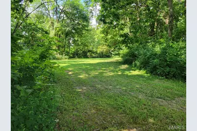 39 Scarlet Oak Court, Troy, MO 63379 - Photo 68