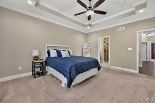 103 Pomodora Cir, Wentzville, MO 63385 - Photo 22