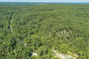 10263 Coldwater Creek Rd, Unincorporated, MO 63645 - Photo 60