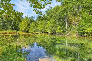10263 Coldwater Creek Rd, Unincorporated, MO 63645 - Photo 16