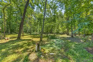 10263 Coldwater Creek Rd, Unincorporated, MO 63645 - Photo 24