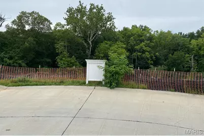 2041 Lily Avenue, Kirkwood, MO 63122 - Photo 2