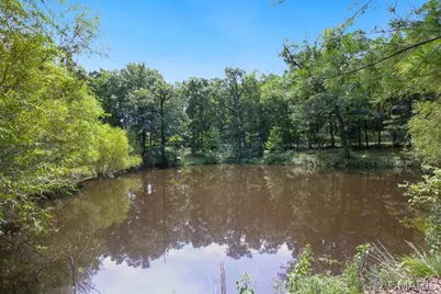 308 Deep Woods Drive, Saint Clair, MO 63077 - Photo 28