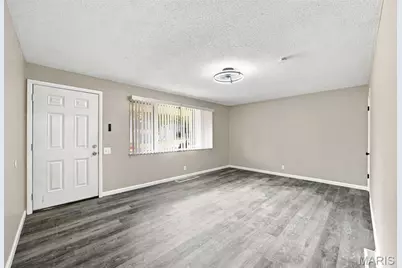 10316 Chesley Drive, Saint Louis, MO 63136 - Photo 4