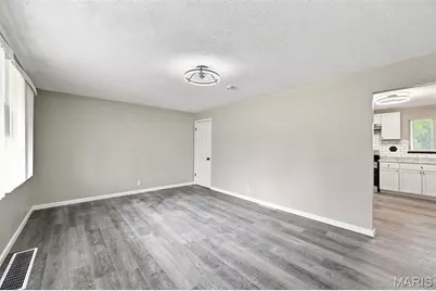 10316 Chesley Drive, Saint Louis, MO 63136 - Photo 6