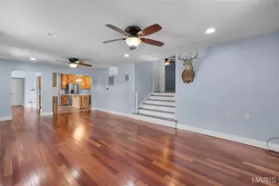 604 Old Irondale Rd, Bismarck, MO 63624 - Photo 8