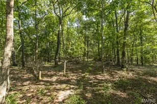 13524 Saddle Creek Rd, De Soto, MO 63020 - Photo 16