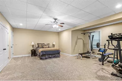 3305 Magnolia Lane, Festus, MO 63028 - Photo 66