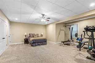 3305 Magnolia Ln, Festus, MO 63028 - Photo 66