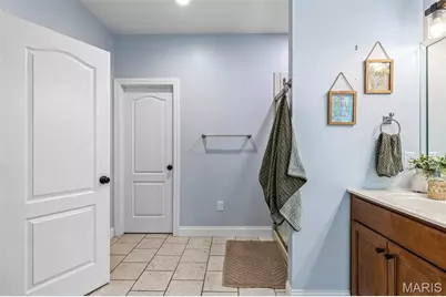 3305 Magnolia Lane, Festus, MO 63028 - Photo 46