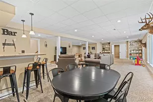 3305 Magnolia Ln, Festus, MO 63028 - Photo 60