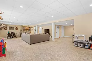 3305 Magnolia Ln, Festus, MO 63028 - Photo 58