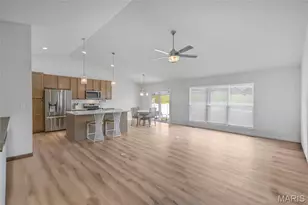 1542 Louisiana Dr, Herculaneum, MO 63048 - Photo 4