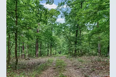 0 Upper Moss Hollow, Barnhart, MO 63012 - Photo 22