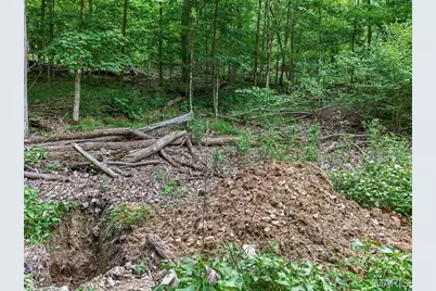 0 Upper Moss Hollow, Barnhart, MO 63012 - Photo 16