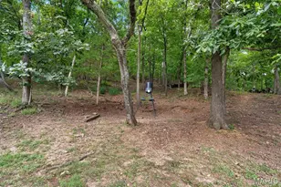 3625 Roads End Acres Rd, Imperial, MO 63052 - Photo 44
